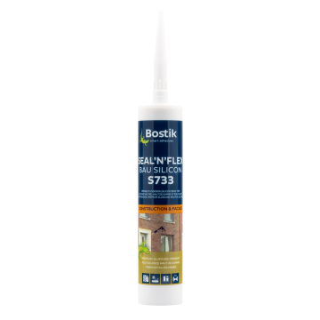 Mastic silicone sanitaire 